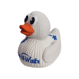 Make-A-Wish Duck