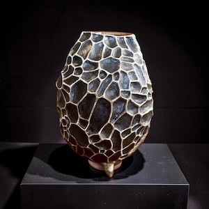 May include: A dark, textured vase with a distinctive, organic pattern. The vase is mainly black with a network of off-white lines creating a honeycomb-like design. It sits on a black plinth, showcasing its intricate details and form.