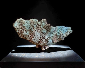 Hand-Sculpted Ceramic Vase – Lava Texture, Wabi-Sabi Coral Sculpture