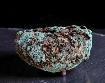 Hand-Built  Art Ceramic /Dark Brown/Turquoise/ Seashell  Rustic Textures Vase For Flower/Plant/Collection & Home Decor