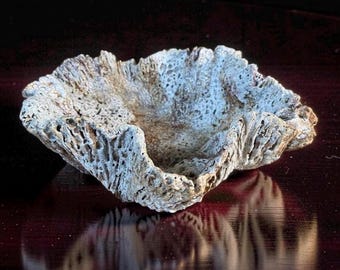 Hand-Sculpted Ceramic Vase – Lava Texture, Wabi-Sabi Coral Sculpture
