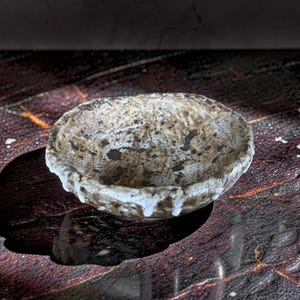 May include: A small, handmade ceramic bowl with a textured surface. The bowl features a speckled brown and white glaze with a dripped white rim. The bowl is set on a dark, patterned surface.