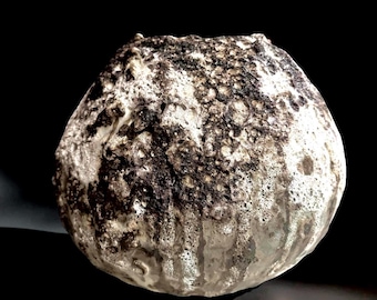 Hand-Built One Of Kind Moon Art Ceramic Vase White/Black/Brown/ Rustic Textures  For Flower,Plant,Collection, Home Decor or Gift