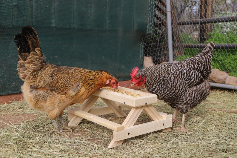 Plain Chicknic Table - Etsy