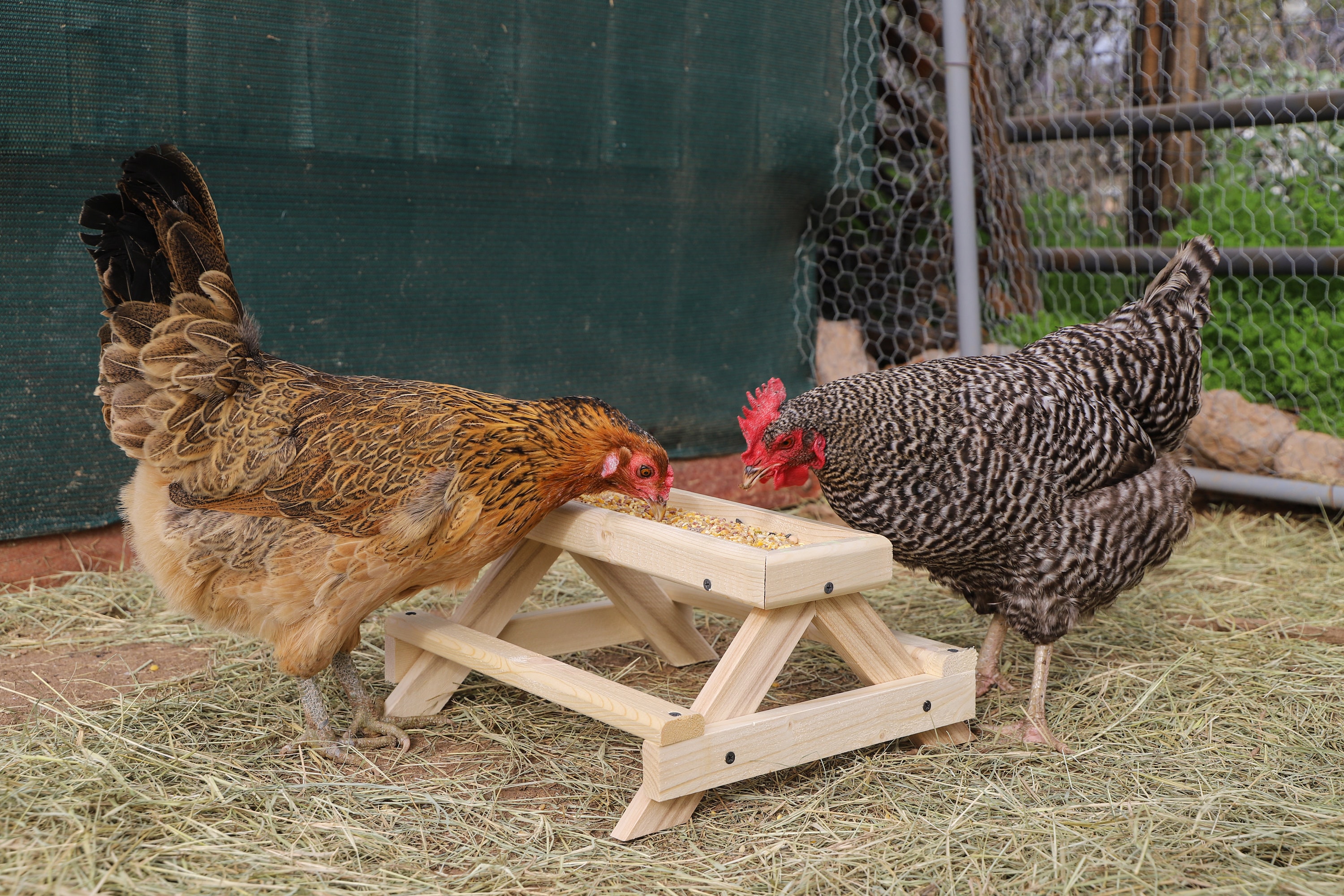 Plain Chicknic Table - Etsy