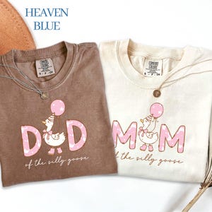One Silly Goose 1st Birthday Matching Family Shirt, Goose Birthday First Birthday, Mama Goose Shirt, Daddy Goose Shirt, Silly Goose Shirt