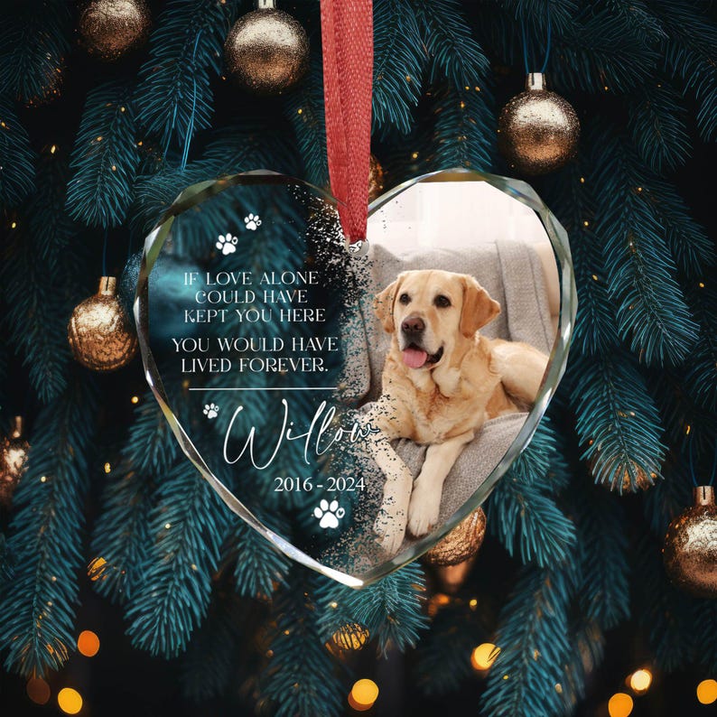 May include: A glass heart-shaped bauble with a photo of a golden retriever dog. The bauble has the text "IF LOVE ALONE COULD HAVE KEPT YOU HERE YOU WOULD HAVE LIVED FOREVER. Willow 2016-2024" printed on it.