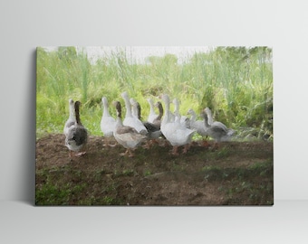 Oies marchant dans les hautes herbes, impression d'art sur toile, art mural animalier, décoration de bureau à domicile, cadeau pour amoureux de la nature, décoration animale