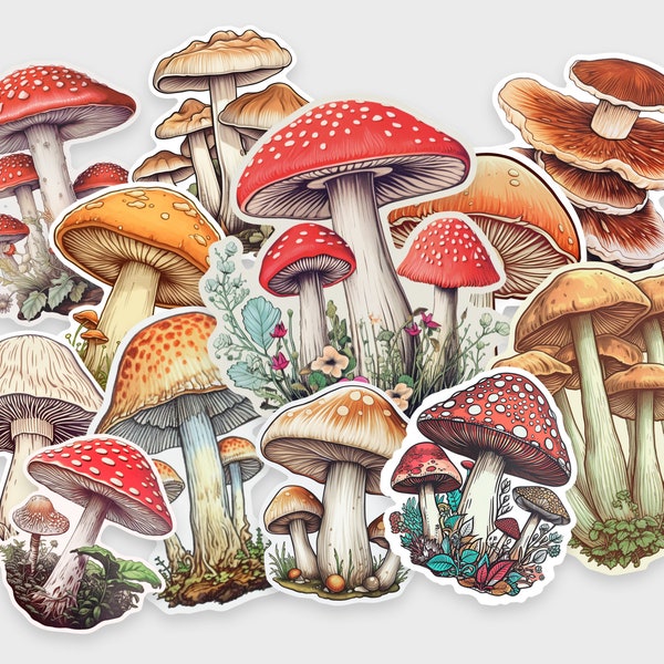 Mushroom sticker pack • 12 cottagecore stickers • Waterproof • Dishwasher-safe • Ideal for a water bottle, laptop, Kindle, phone, or planner