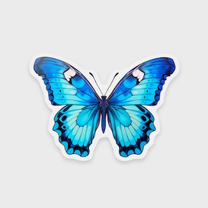 Blue Morpho butterfly sticker • Clear sticker • Waterproof • Dishwasher-safe • Ideal for a water bottle, laptop, tablet, Kindle, or phone