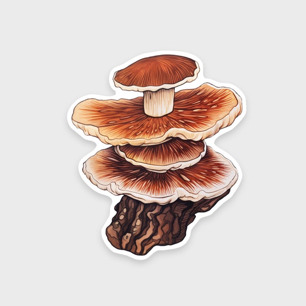 Paddenstoelsticker • Ganoderma Lucidum • Waterdicht • Vaatwasmachinebestendig • Voor een waterfles, laptop, Kindle, beker of planner