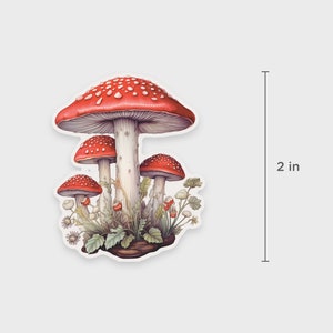 Mushroom sticker with wild flowers For water bottles, laptops, Kindles, or planners Amanita Muscaria Waterproof Dishwasher-safe 画像 3