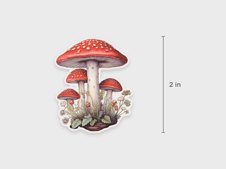 Mushroom sticker with wild flowers For water bottles, laptops, Kindles, or planners Amanita Muscaria Waterproof Dishwasher-safe 画像 3