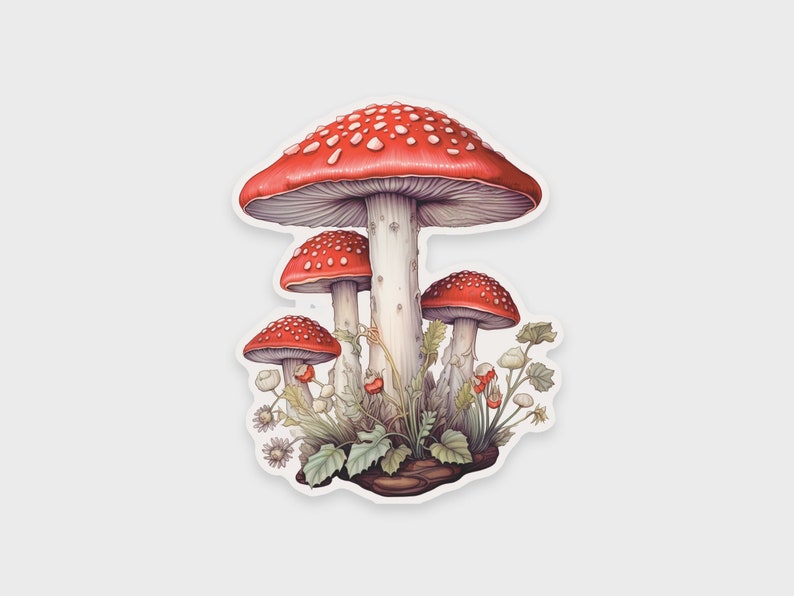 Mushroom sticker with wild flowers For water bottles, laptops, Kindles, or planners Amanita Muscaria Waterproof Dishwasher-safe 画像 1