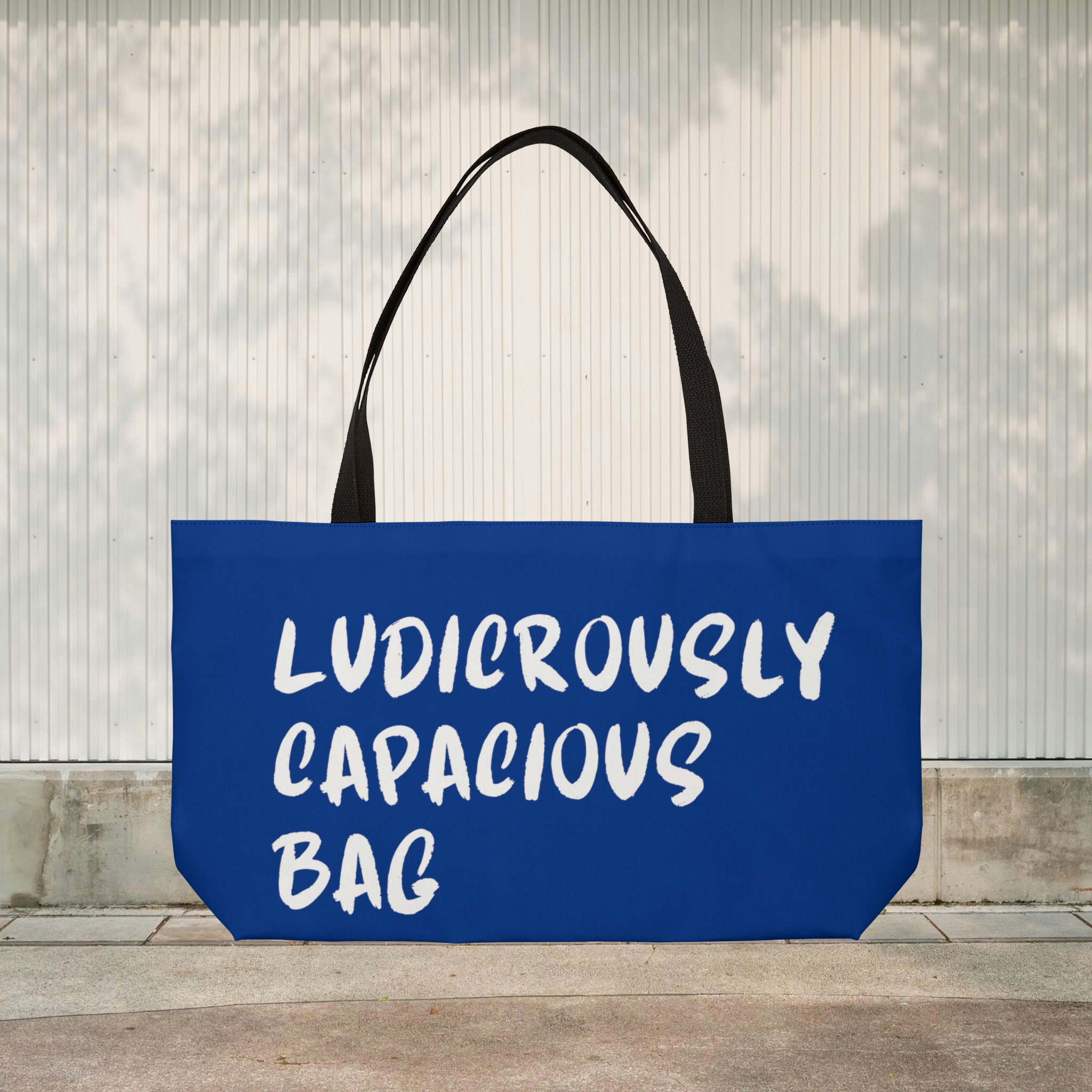 Funny Ludicrously Capacious Bag Funny Quote Ludicrously Etsy