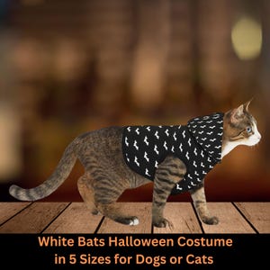 Cat Halloween Costume Cat Halloween Shirt Cat Costume Black and White Bats Matching Outfit Costumes For Cats Small Medium Big Dog Costume