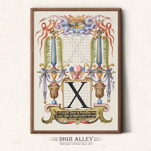 Letra X - Alfabeto caligráfico - Descarga digital imprimible, ilustración mágica de letras ABC iluminadas vintage del siglo XVI. Arte mural con letras ABC.