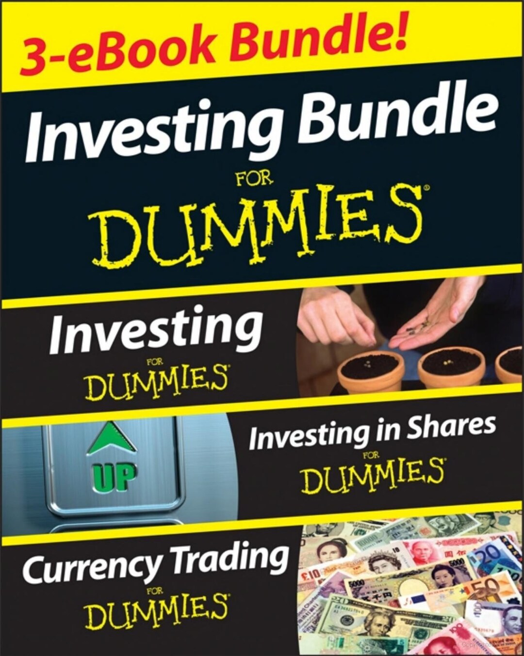 Investing for Dummies Three Ebook Bundle Investing for Dummies