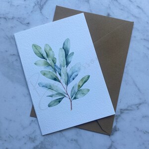 Cartão comemorativo de folha de eucalipto nativo australiano - incluindo envelope (A6 10,5 x 14,8 cm) impresso em papel aquarela 300GSM