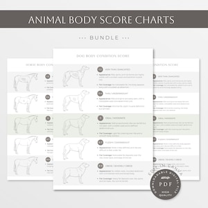 Animal Body Condition Score Charts Bundle | Dog Body Condition | Cat Body Condition | Horse Body Condition | Vet Tech Files | Animal Anatomy