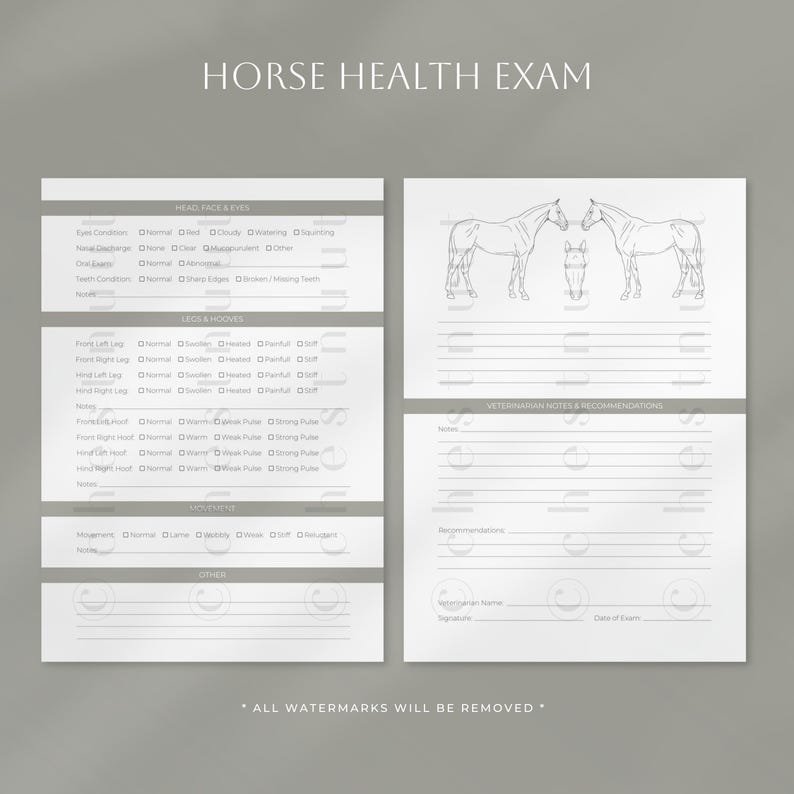 Horse Health Exam Form | Horse Physical Exam | Equine Form | Horse ...