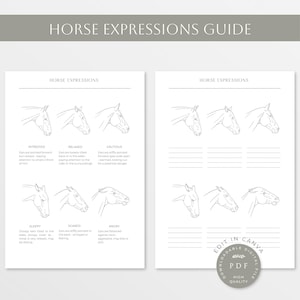 Gids voor paardexpressies | Werkblad Paardenstemmingen | Emotiesdiagram paard | Anatomie van het paard | Paarden | Paardensport | Lijntekeningen paard |