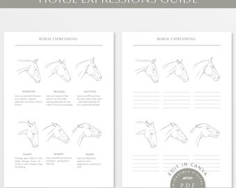 Pferdeausdruck-Anleitung | Pferd Stimmungen Arbeitsblatt | Pferd Emotionen Diagramm | Pferd Anatomie | Pferde | Reiter | Pferd Line Art |