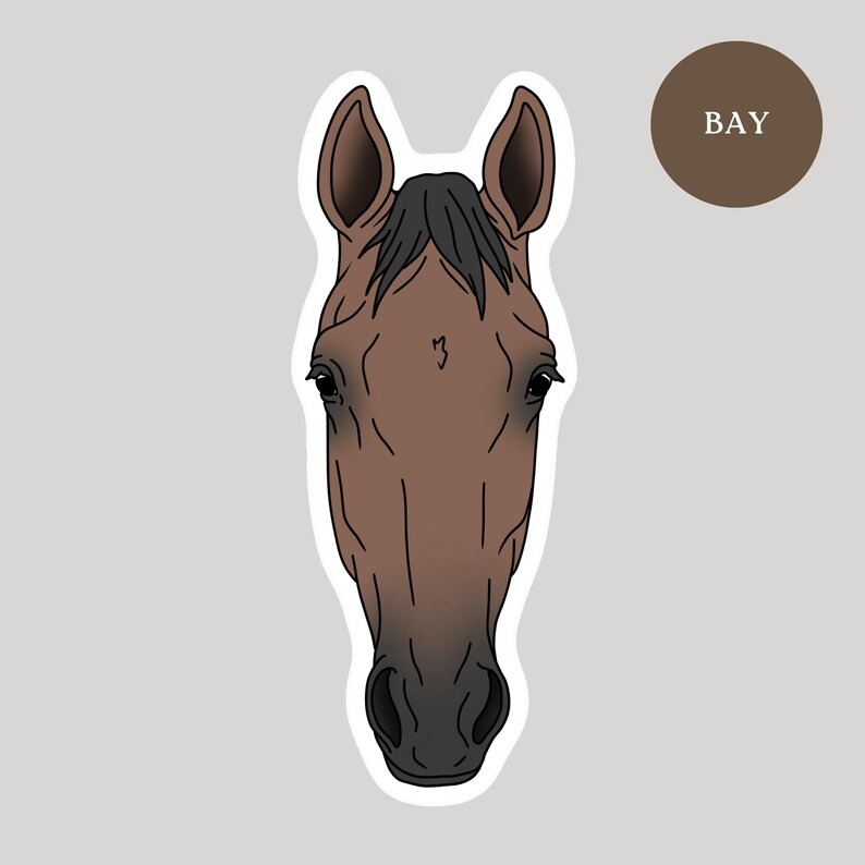 May include: A sticker featuring a horse's head in shades of brown, with a black mane and the word "BAY" in a brown circle. The horse's head is outlined in white, set against a light gray background.