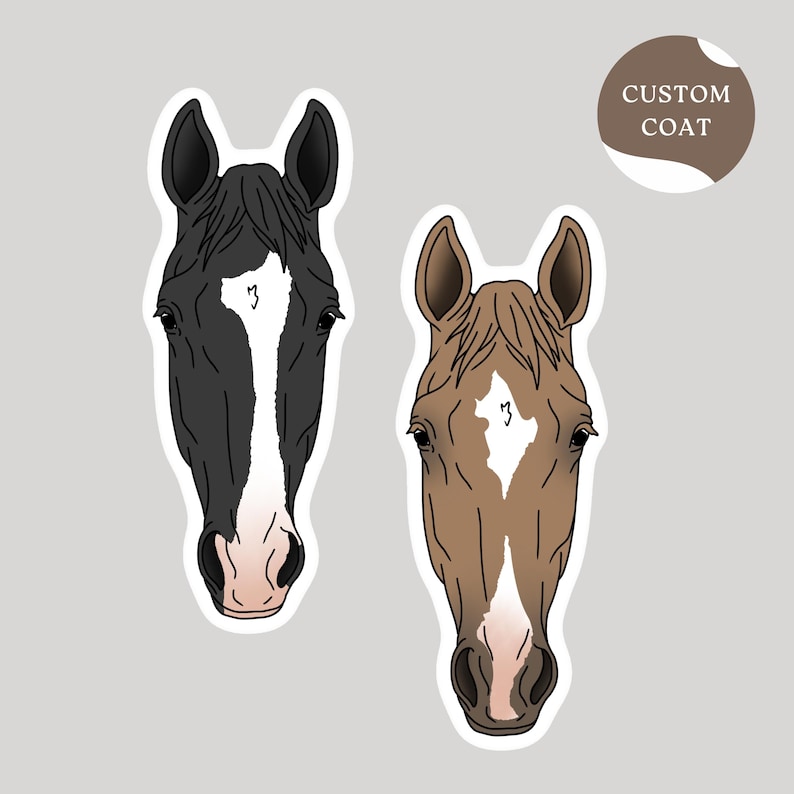 May include: Two horse head stickers. One is black with a white blaze, the other is brown with a white blaze. Both have a white diamond marking on their foreheads. A circular sticker reads "CUSTOM COAT".