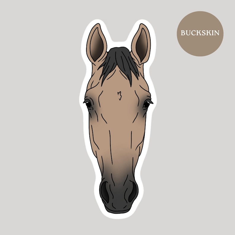May include: A sticker featuring a horse's head in a minimalist style. The horse is a light brown color with black details, including the mane, eyes, and nose. The word "BUCKSKIN" is in a brown circle in the upper right corner.