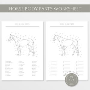Può includere: Foglio di lavoro stampabile con un disegno a linea di un cavallo con parti del corpo numerate. Il foglio di lavoro include un elenco delle parti del corpo del cavallo con i numeri corrispondenti. Il testo "Horse Body Parts Worksheet" è in cima alla pagina. Il testo "Editable Digital PDF High Quality" è in fondo alla pagina.