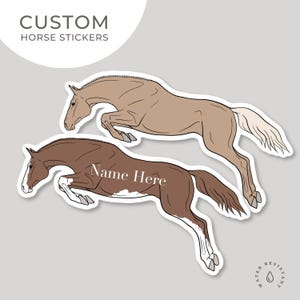 Custom Horse Sticker | Waterproof Vinyl Decal | Personalized Horse Bumper Sticker | Equine Sticker | Horse Lover Gift | Kiss Cut Sticker |