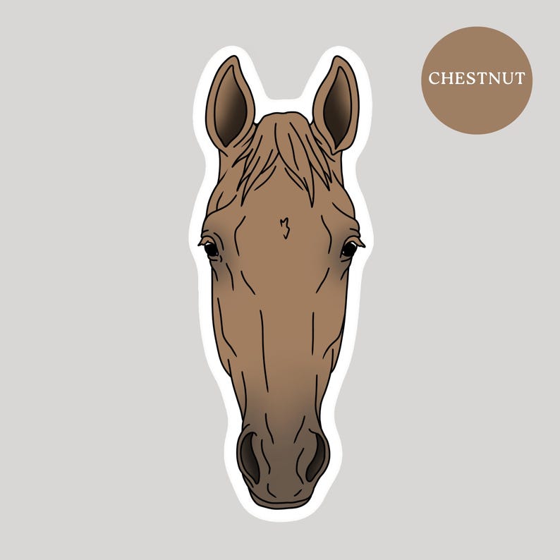 May include: A chestnut horse head sticker with a white border. The horse's head is brown with dark brown details, including the eyes, ears, and mane. A brown circle with the word "CHESTNUT" is in the upper right corner.