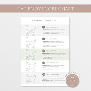 Scoregrafiek lichaamsconditie kat | Gids voor het maken van lichaamsscores voor katten | Afdrukbare gewichtsmeter voor katten | Kattenverzorging en -gezondheidsbewaking | Katachtige vorm |