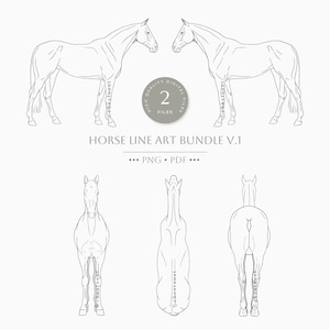 Pferd Line Art Bundle v.1 | Stehende Ganzkörper Pferde Illustration | Pferdekunst | Pferd Anatomie Silhouette Zeichnung | Tierkörper Umriss |