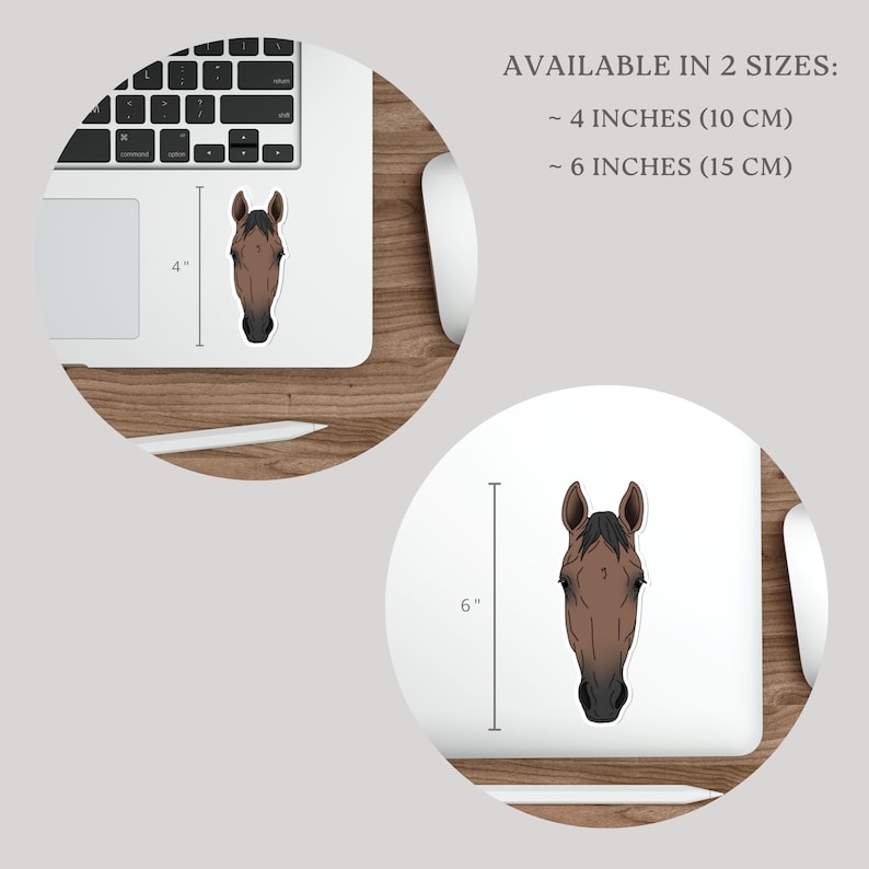 May include: A sticker featuring a detailed illustration of a horse's head in shades of brown and black. The sticker is available in two sizes: 4 inches and 6 inches.