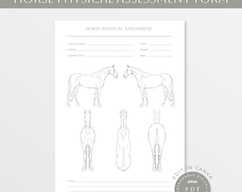 Horse Physical Assessment Form | Horse Bodywork | Equine Form | Horse Anatomy | Equine | Equestrian | Horse Line Art | Horse Body Condition