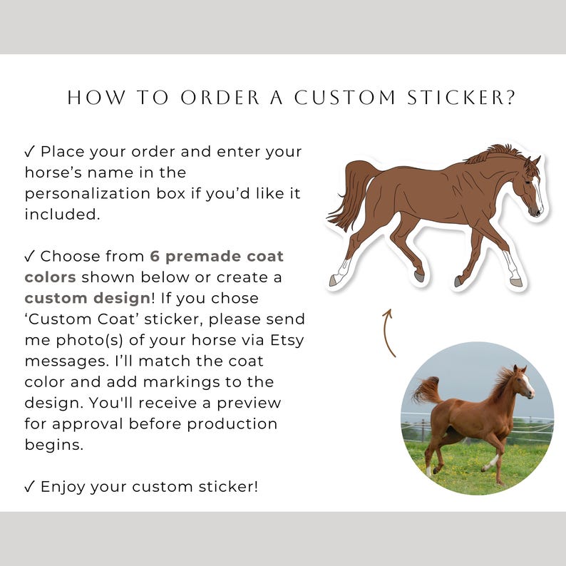 Custom Horse Sticker | Waterproof Vinyl Decal | Personalized Horse ...