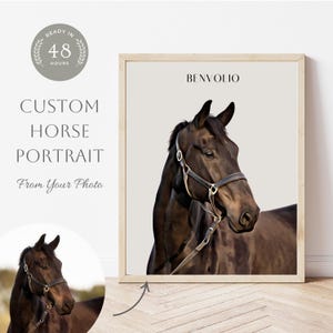 Custom Horse Portrait | Custom Horse Gift | Custom Pet Portrait | Personalized Horse Drawing | Horse Gift | Custom Horse Portrait from Photo