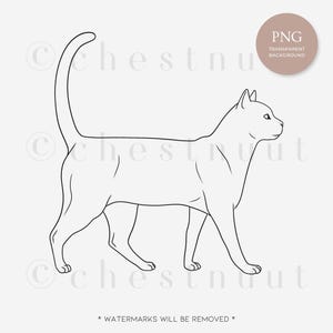 Cat Line Art Bundle V.2 | Cat Body Illustration | Cat Anatomy Outline ...