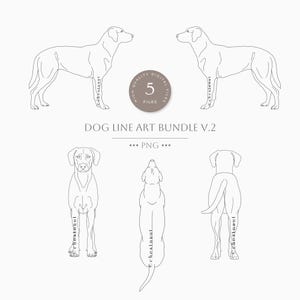 Hundlinjeteckningspaket v.2 | Hundkroppsillustration | Hundanatomikontur | Hundanatomi | Hundsilhuettteckning | Hundkroppsform |