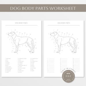Dog Body Parts | Dog Anatomy | Canine Worksheet | Dog Body Worksheet | Parts of a Dog | Canine | Dog Body Line Art | Vet Tech Printables |