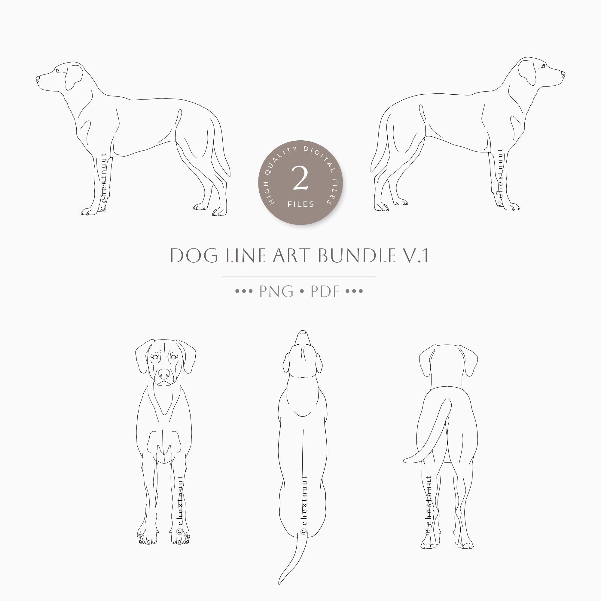 犬の線画 手描き イラスト無料｜アフガン・ハウント 犬の手書きイラストセット 線画