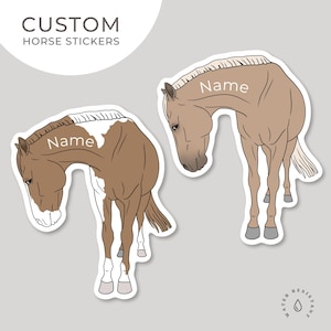 Sticker cheval oeil latéral personnalisé | Sticker cheval | Sticker cheval personnalisé | Sticker équestre | Cadeau pour amoureux des chevaux | autocollant coupé |