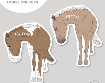 Pegatina de caballo de ojos laterales personalizada / Calcomanía de caballo / Pegatina equina personalizada / Pegatina ecuestre / Regalo para amantes de los caballos / Pegatina troquelada /