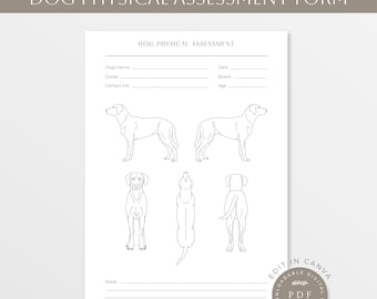 Modulo di valutazione fisica del cane / Lavoro corporeo del cane / Forma del cane / Anatomia del cane / LineArt del cane / Condizione corporea del cane /