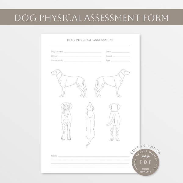 Formulario de evaluación física del perro / Trabajo corporal del perro / Formulario del perro / Anatomía del perro / LineArt del perro / Condición corporal del perro /