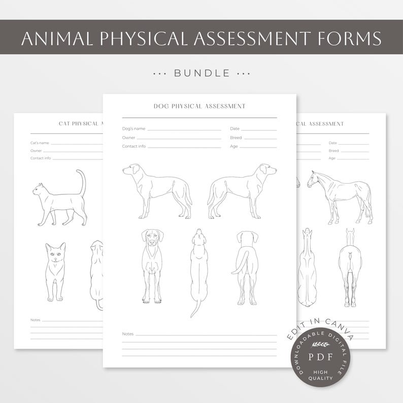 Animal Physical Assessment Forms Bundle | Dog Body Condition | Cat Body ...