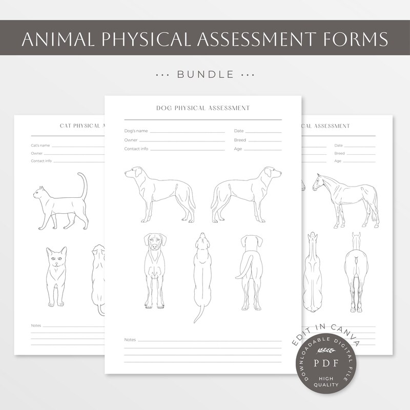 dog-petting-in-software-etsy