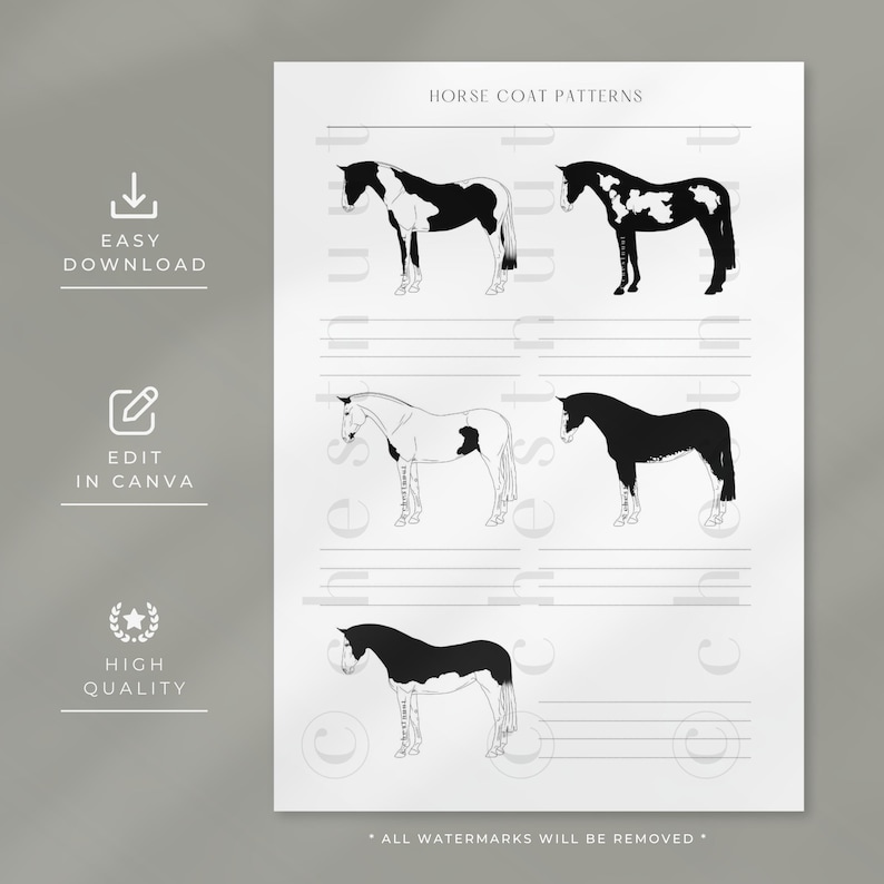 Paint Horse Coat Patterns Chart | Equine Color Genetics Worksheet ...